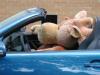 slk5178.jpg slk5178.jpg