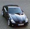 AMG 55 in Farbe 040 Schwarz, Sonderleder Tobacco und Holz Pappel natur