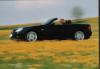 schwarz-gelb Designo schwarz-gelb Designo
