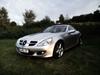 SLK Future Shine SLK Future Shine