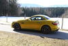 Gloss Lemon Sting Metallic Gloss Lemon Sting Metallic
