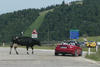 Gardasee-Tour 2023, Monte Baldo